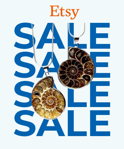 ამონიტის გულსაკიდი ყელსაბამი