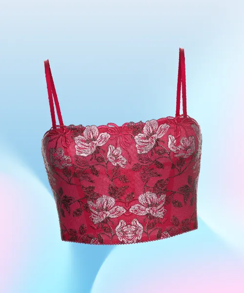 Beautiful Bows Embroidery Bra Top