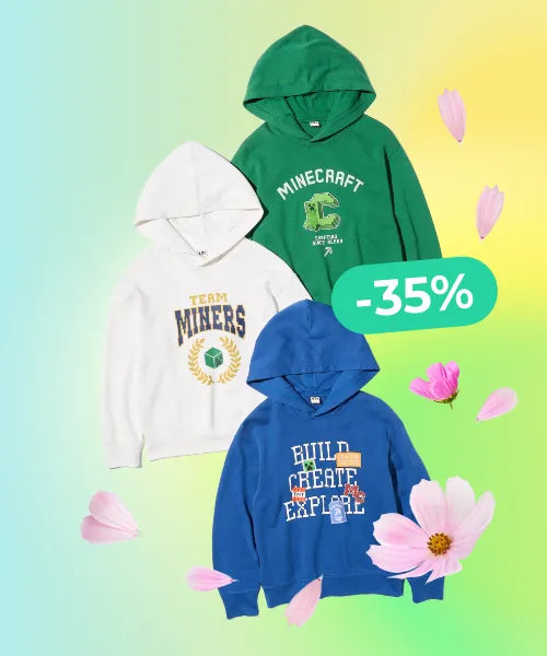 Minecraft Graphic Sweat Hoodie