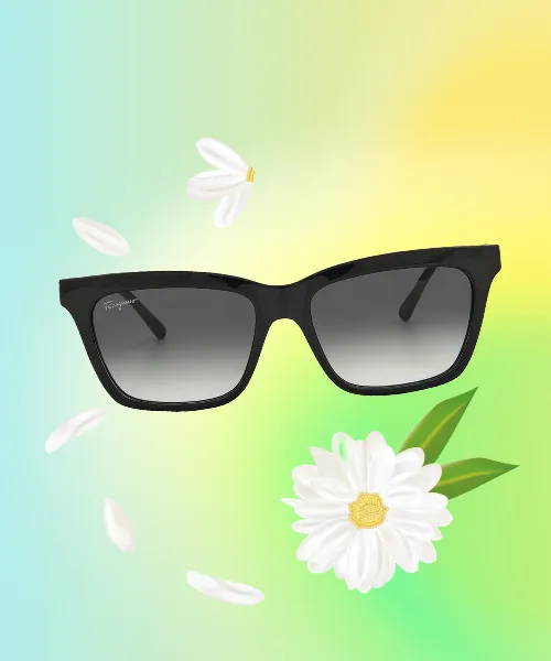 Ferragamo Sunglasses