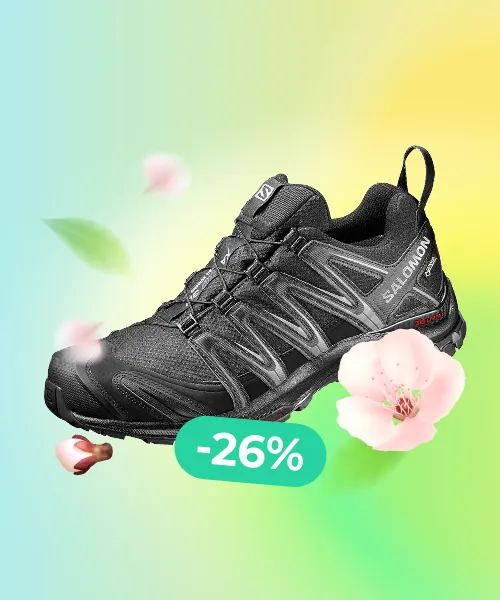 Salomon Men's XA PRO 3D Gore-TEX