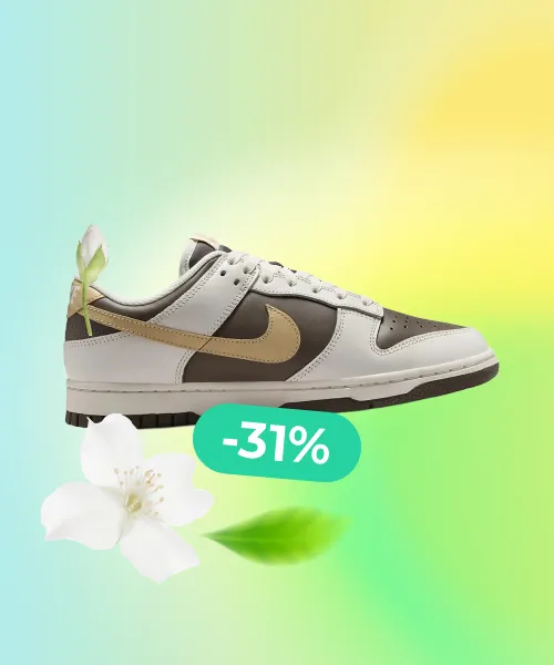 NIKE Dunk Low Brown (Fr)