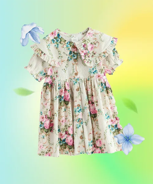 REGULAR FIT COLLAR DRESS