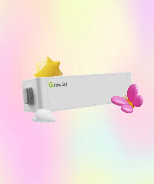 BMS Growatt Lithium Battery