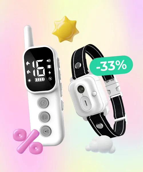 Dog Training Collar with Remote Control