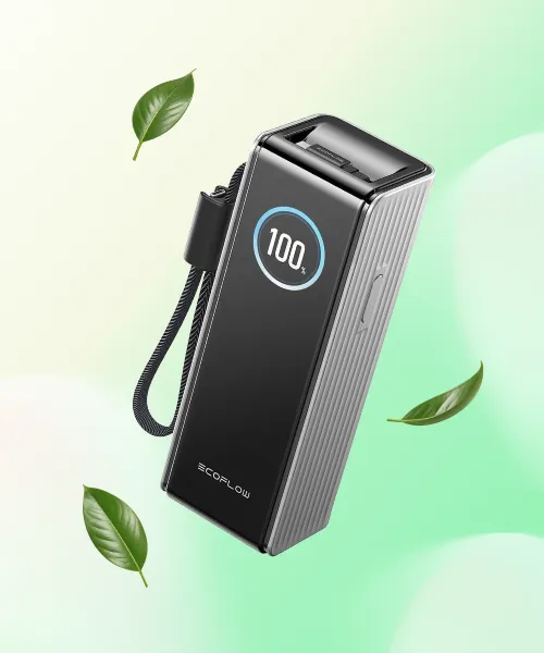 EcoFlow RAPID Powerbank 25000 mAh