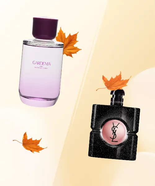 Zara Gardenia Bloom vs YSL Black Opium