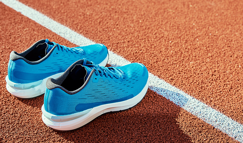 Идеальный пикник или поездка на дачу где покупать летние товары - 36