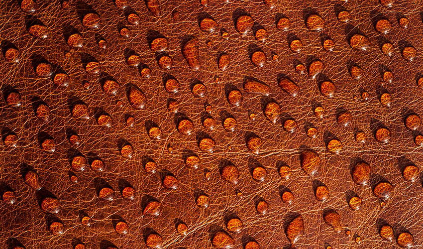 типи догляду за шкіряною сумкою